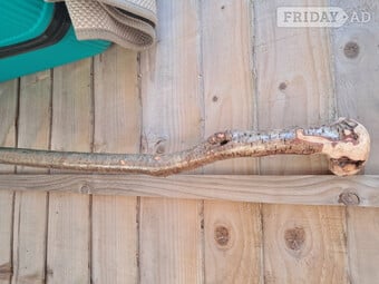 Hazel walking stick 
