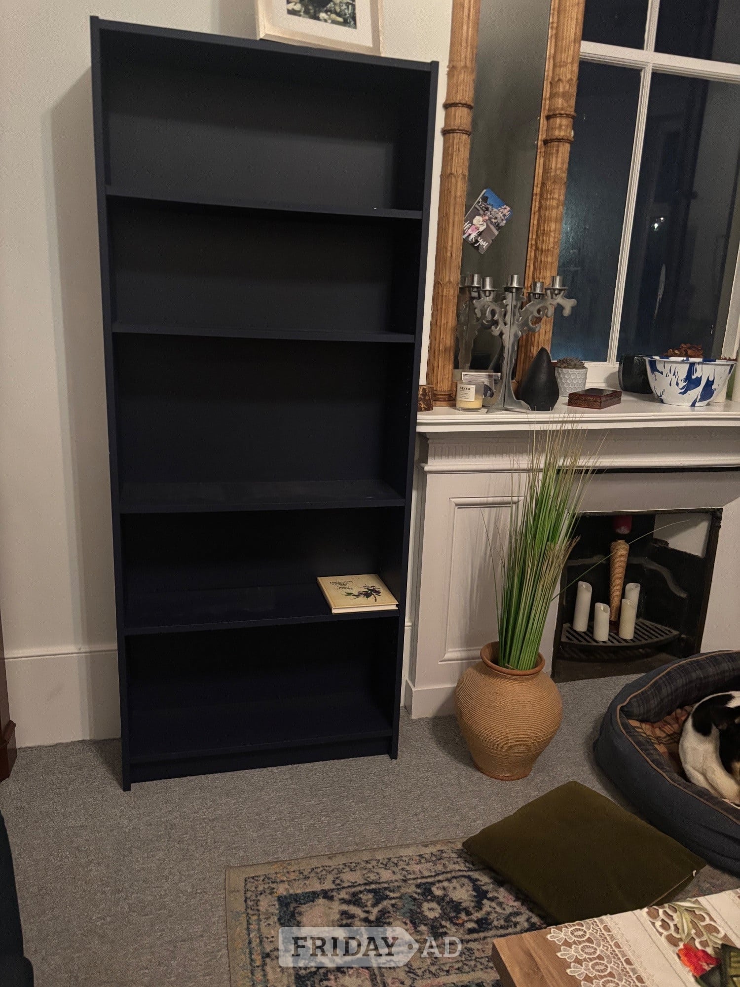 Blue Wooden Bookcase with 4 Shelves (Excellent Condition) in Hastings