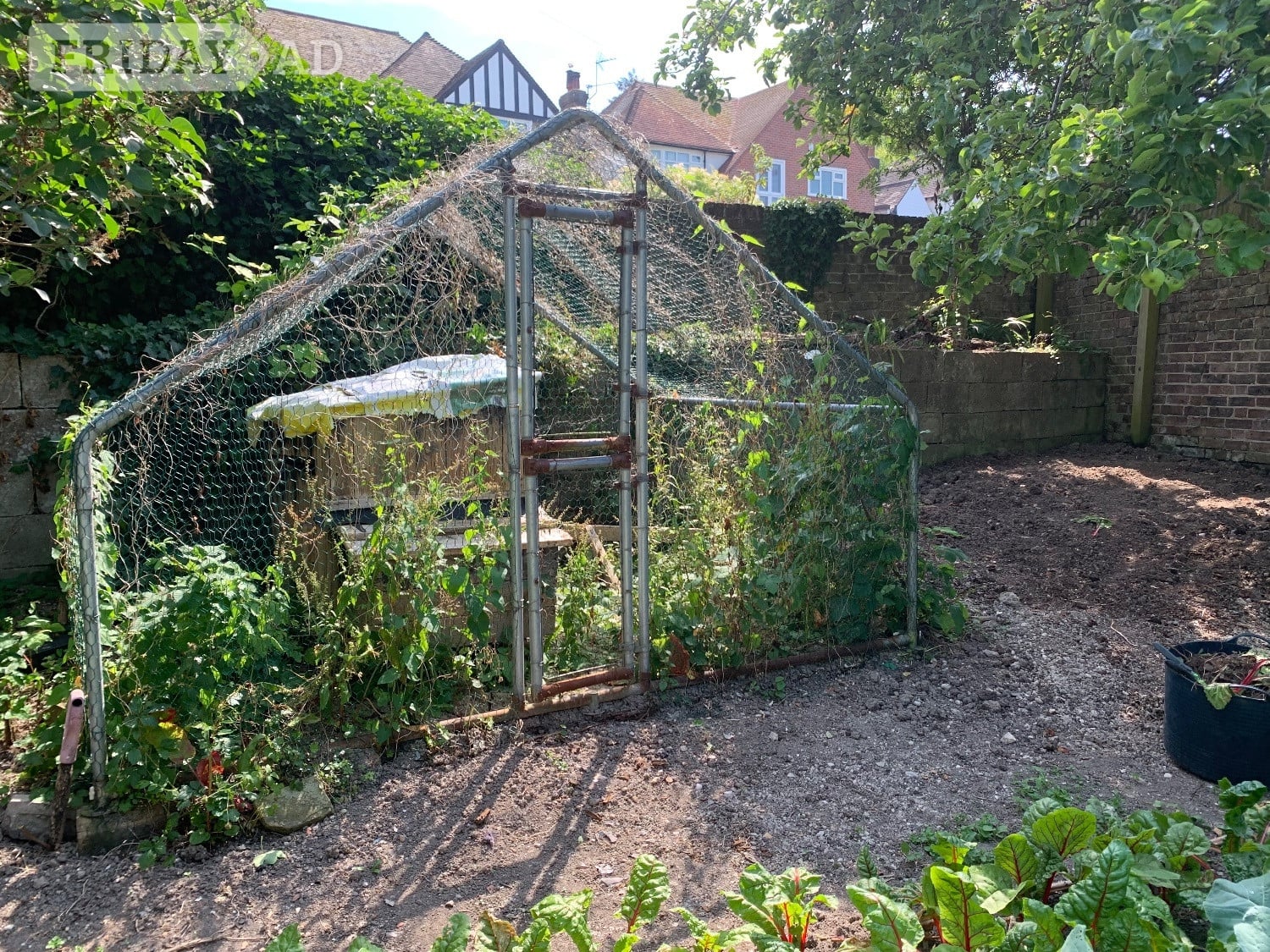 Chicken run metal in Eastbourne