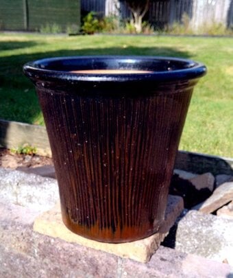 Large Ceramic Black Plant Pot