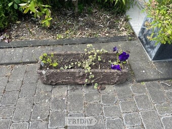 three antique planters