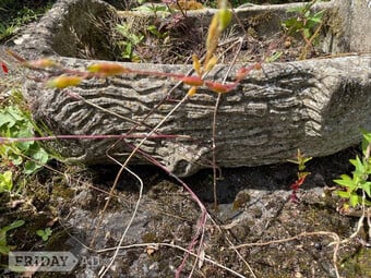 LOG EFFECT PLANTER