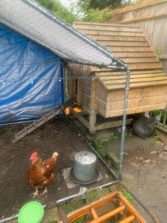 Chicken run  , house, food feeders 