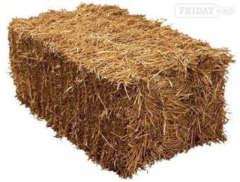 Small Hay and Straw Bales for sale