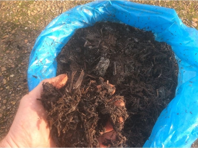 Mushroom Compost For Sale