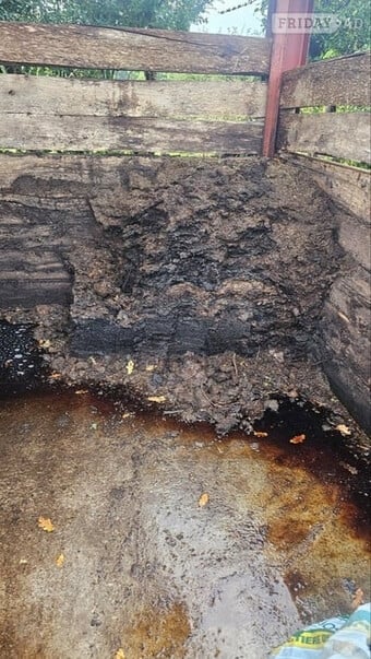 HORSE MANURE with some Bio-degradable bedding -
