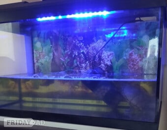  aquarium 58/30/34 cm