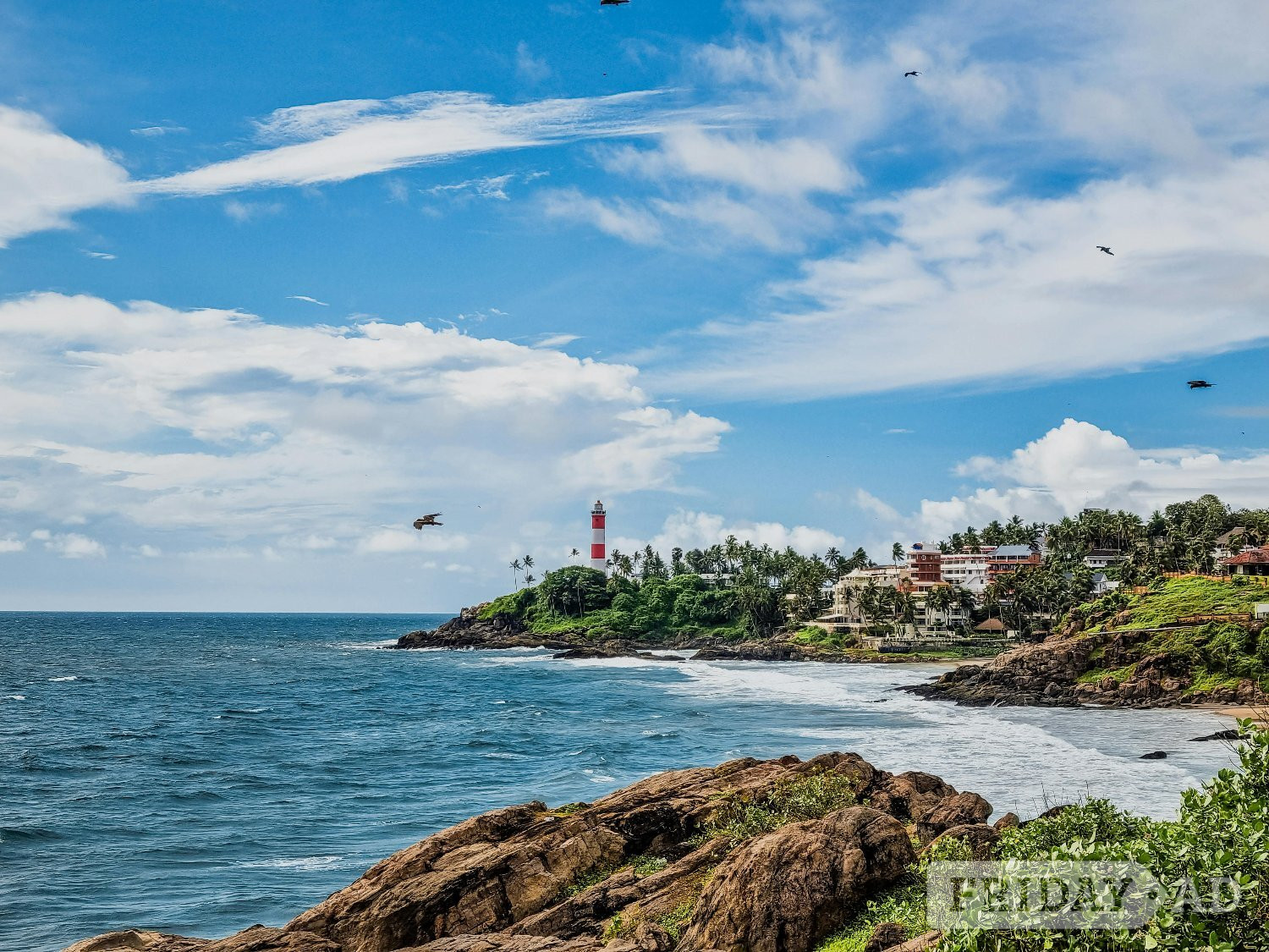 Kochi Tour Package for 9 Days - Amazing Deals Waiting - Travel & Holidays