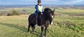 Confident adult rider wanted