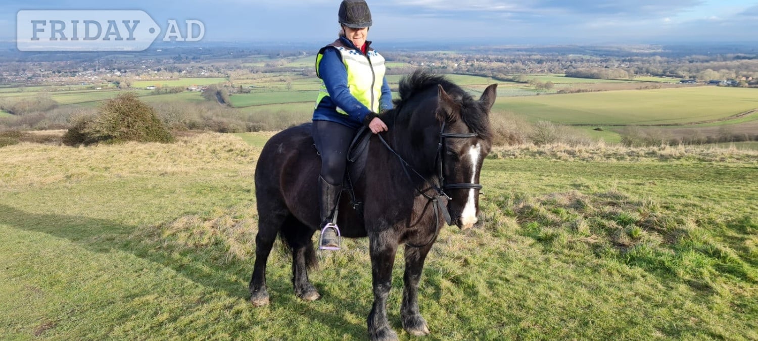 Confident adult rider wanted in Hassocks