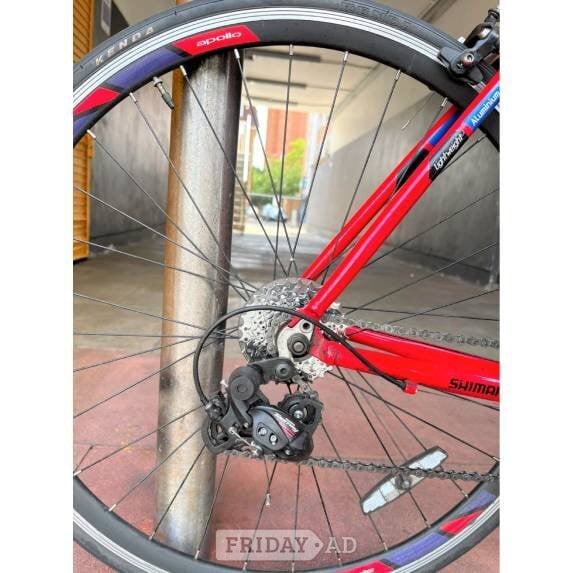 Apollo Paradox Road Bike