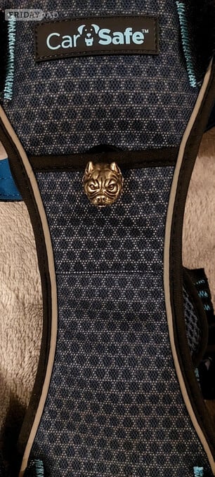 New personalized, unique harness (size L)
