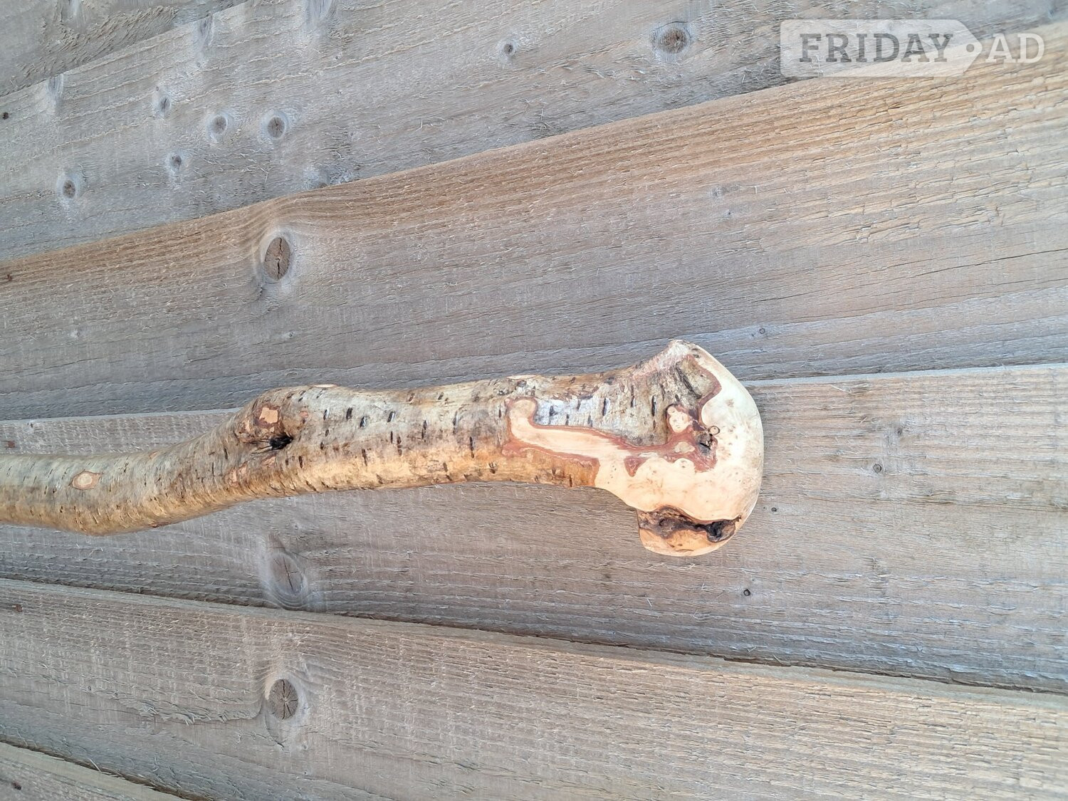 Hazel walking stick 