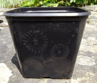20 x Nursery Soft Plastic Square Growing Pots - approx. 300 ml