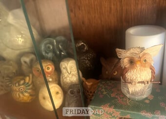 14 owls - various sizes 