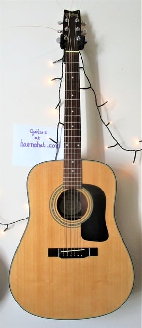 WASHBURN D10 Acoustic Guitar