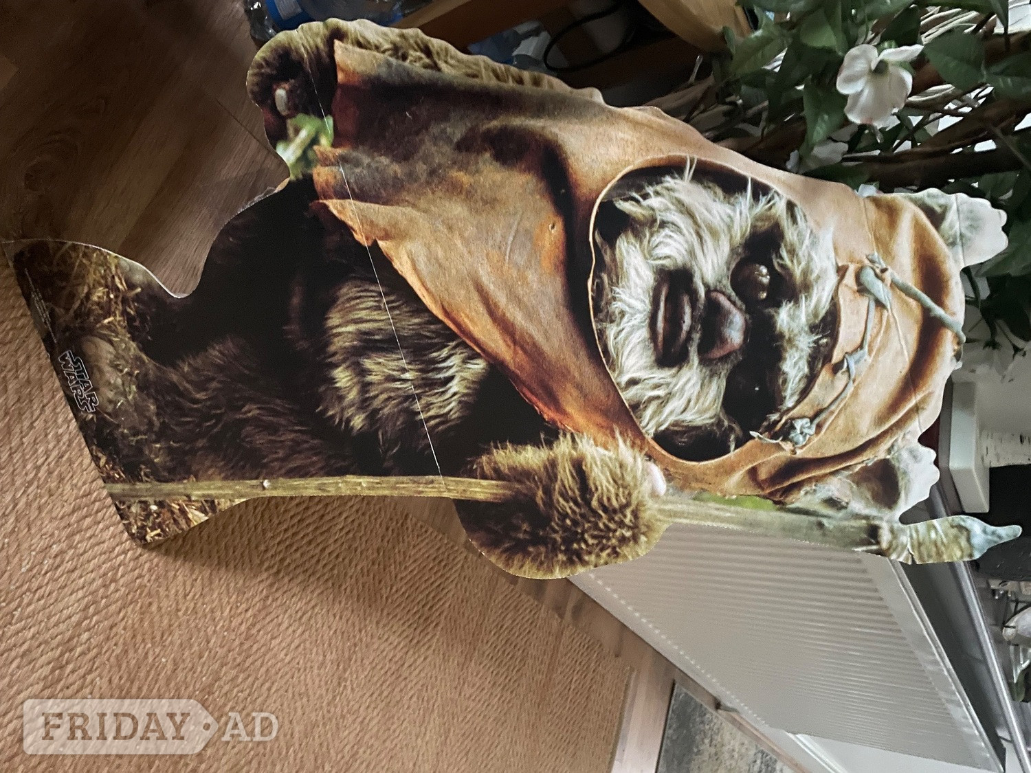 Star Wars Ewok