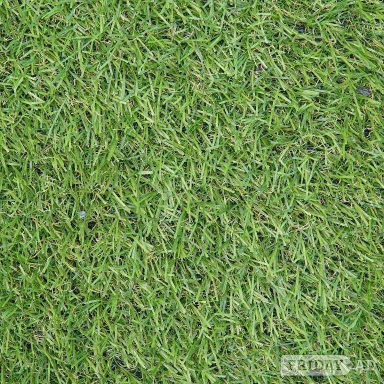 Premium Artificial Grass from Just £4.99/m²  in Bradford