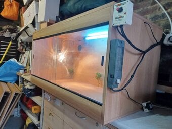 Vivarium LARGE 4ft x 2ft x2ft with electrics