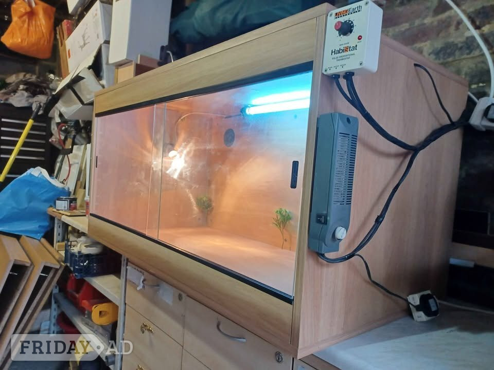 Vivarium LARGE 4ft x 2ft x2ft with electrics in Gillingham
