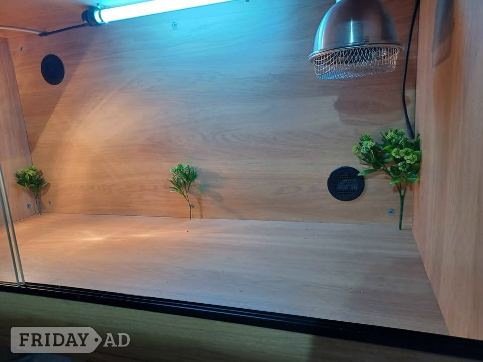 Vivarium LARGE 4ft x 2ft x2ft with electrics - Pet Accessories & Supplies in Gillingham