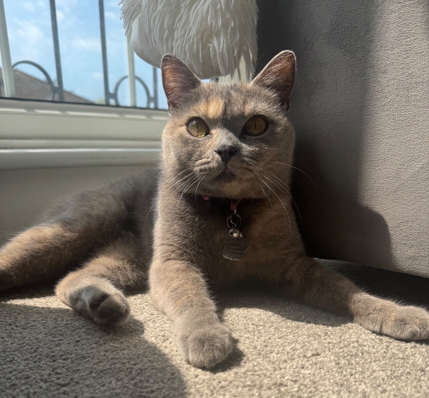 Looking for a Spacious 1 Bedroom Flat in Brighton