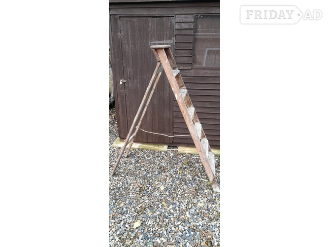 Gravity Randall  Wooden Steps