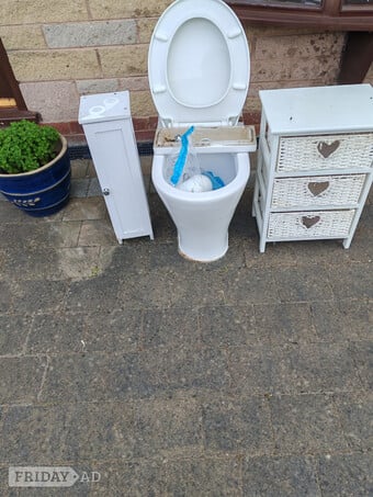 Toilet and cabinets