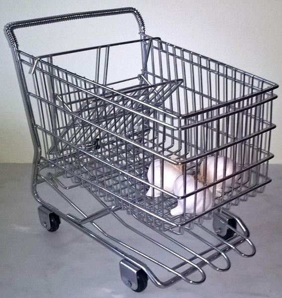 Useful and Unusual Supermarket Trolley