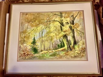 Water Colour By Julie Mordan