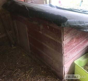 NESTING BOX FOR POULTRY!
