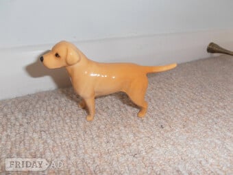 Beautiful China Beswick Yellow Labrador