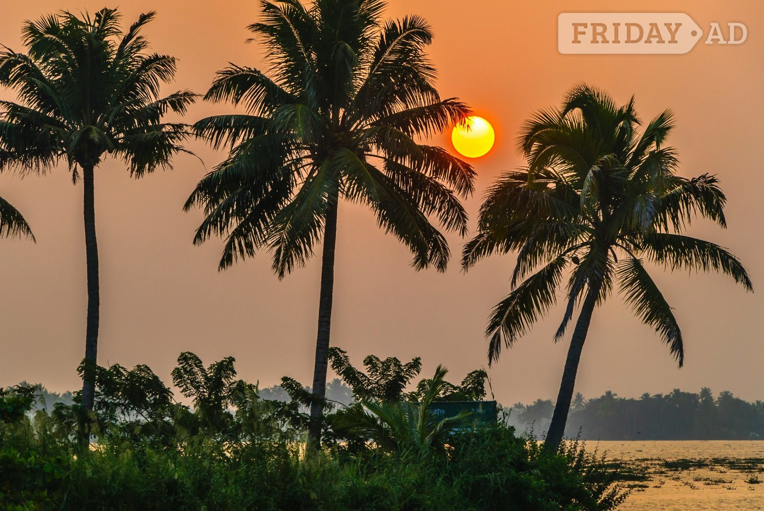 Aldershot Kochi Tour Package for 9 Days - Amazing Deals Waiting