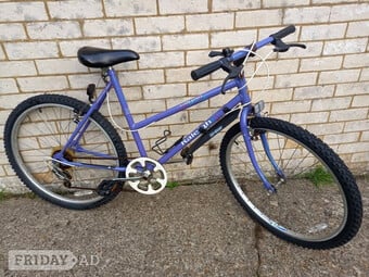 Ladies Mountain Bike