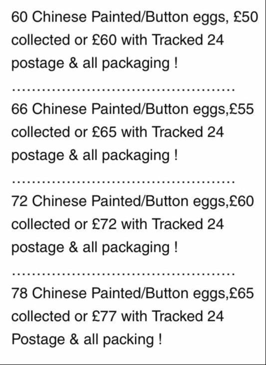 Warminster CHINESE PAINTED BUTTON QUAILS EGGS !