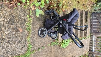 Oyster buggy with removable seat