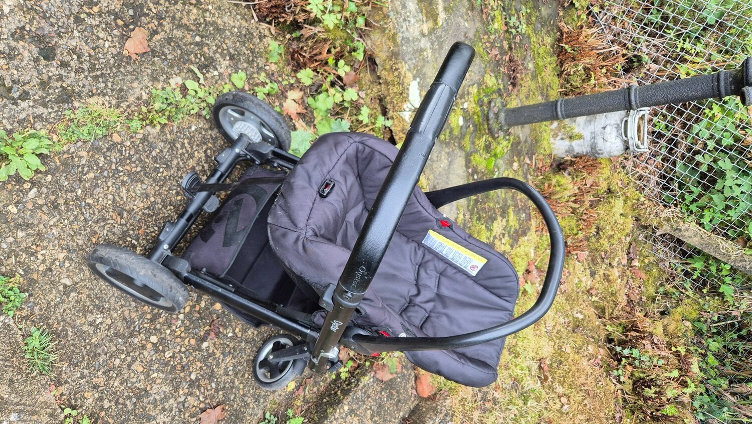 Oyster buggy with removable seat