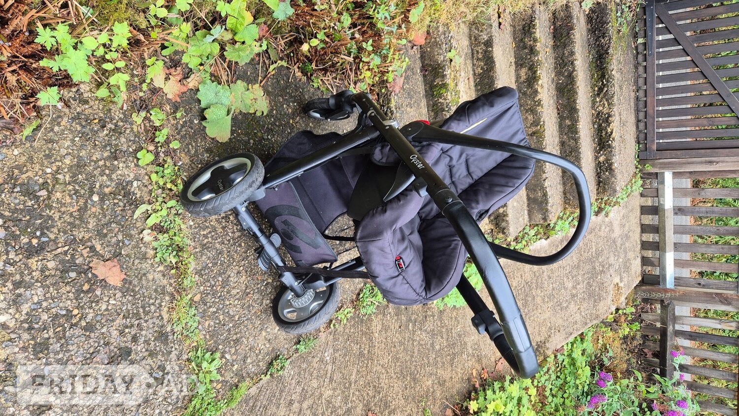 Dorking Oyster buggy with removable seat