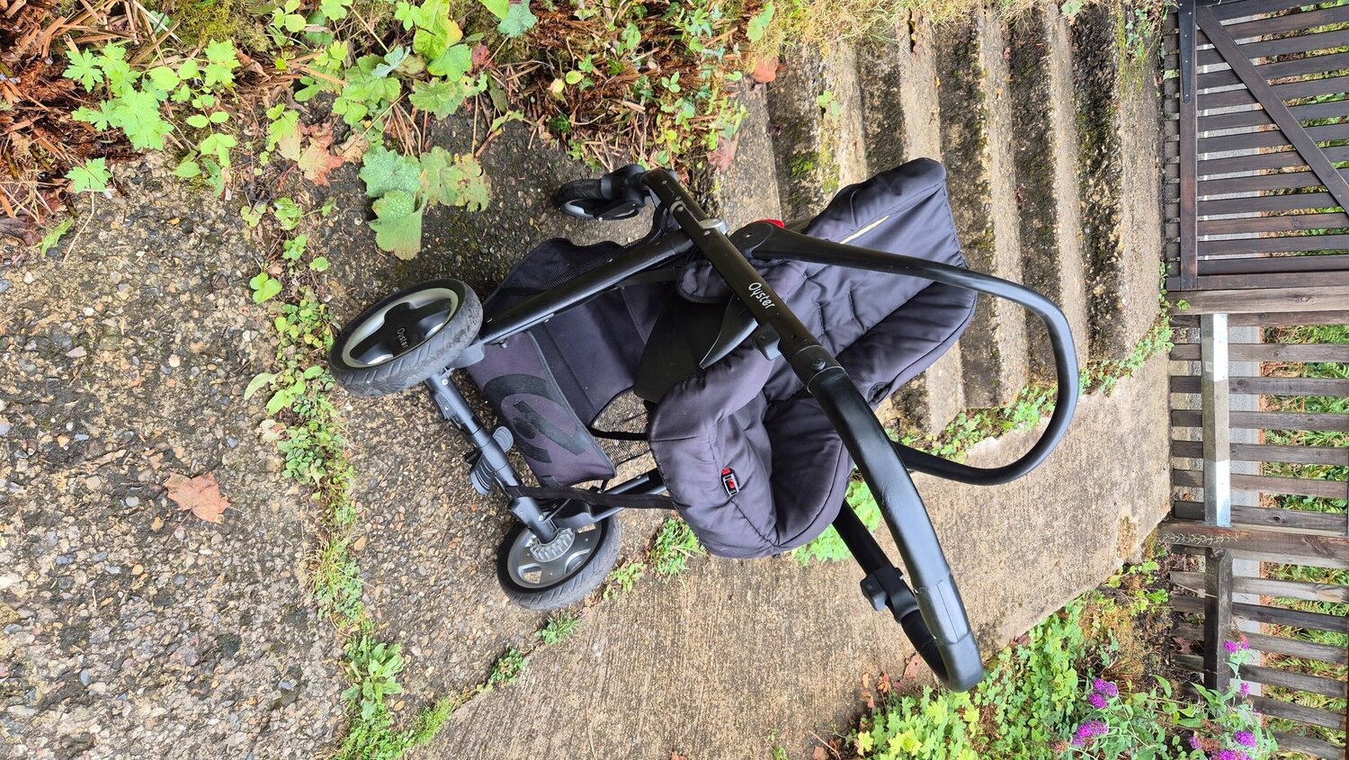 Dorking Oyster buggy with removable seat