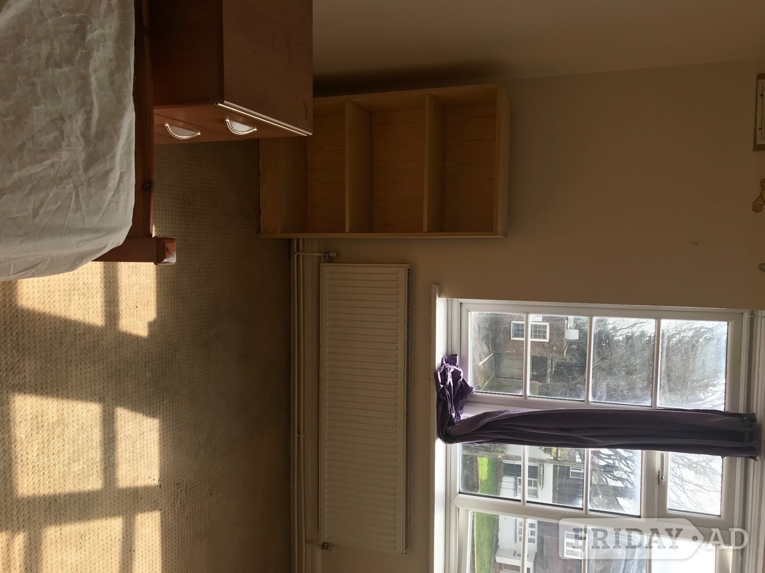 Worthing Single room to share