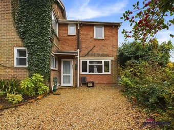 studio flat for rent in st leonards 