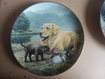 Labrador Collectors plate, Franklin Mint.  by Nigel Hemming, 