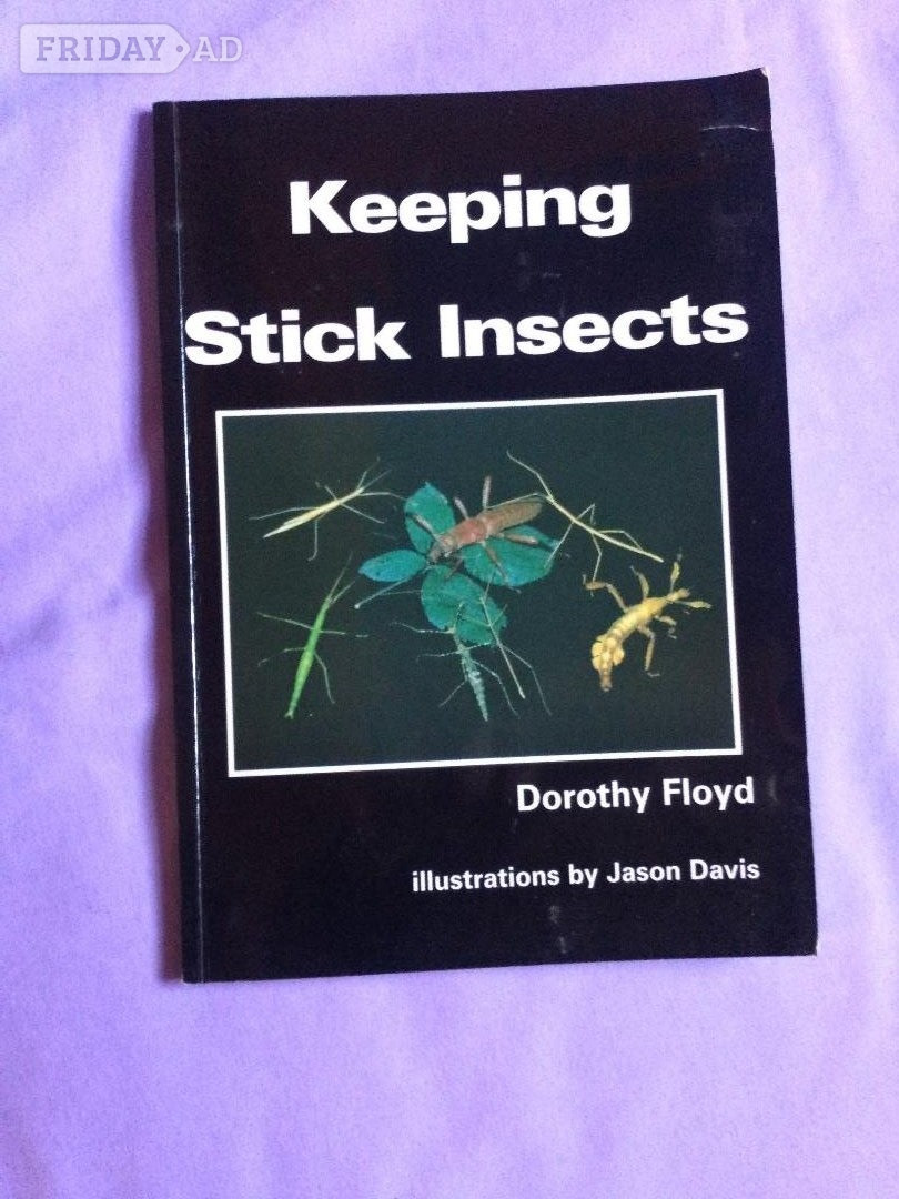 Keeping Stick Insects Paperback Dorothy Floyd in Worthing