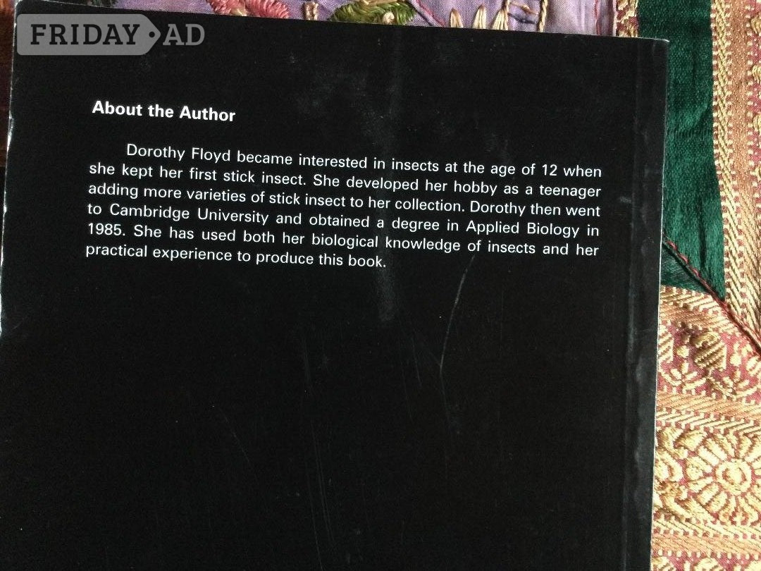 Keeping Stick Insects Paperback Dorothy Floyd