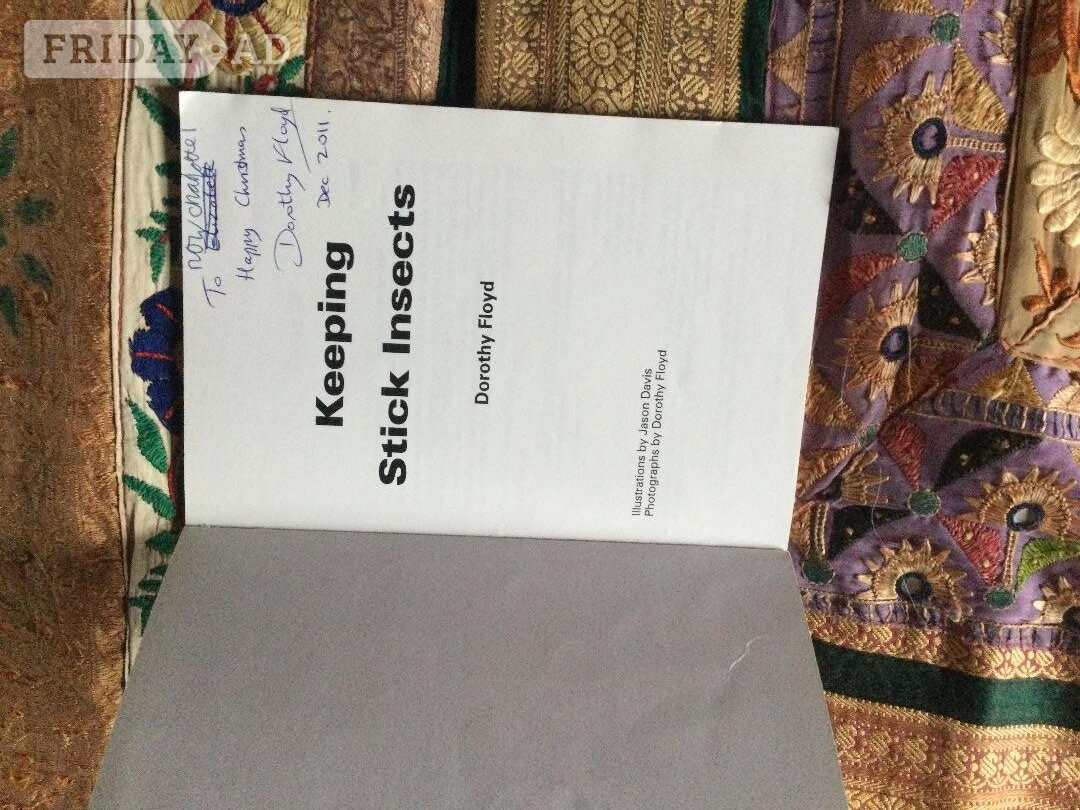 Keeping Stick Insects Paperback Dorothy Floyd - Movies, Games, Books & Music