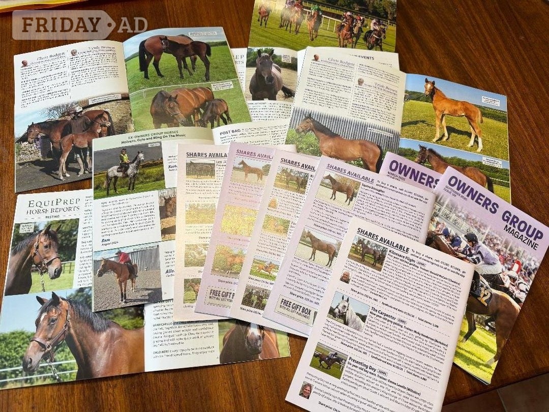Pictures of horses for collage etc FREE in Worthing