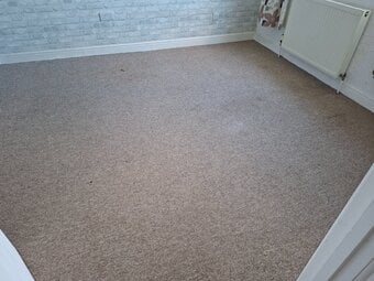 carpet free to collector