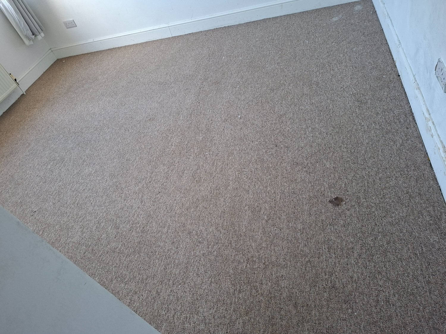 carpet free to collector