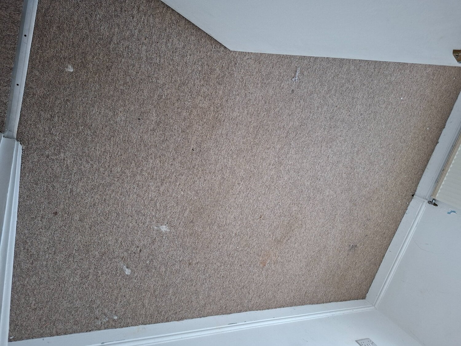 Eastbourne carpet free to collector