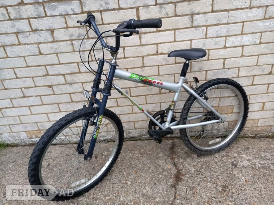 Boys Raleigh Bike